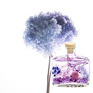Wholesale Glass Aromatherapy Diffuser Bottle Natural Dried Hydrangea Flowers Near Me Outlet 